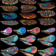 Illustration for article titled Amazing World of Insect-Wing Color Discovered